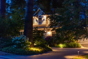 Dark Corners and Tripping Hazards Fixing the Most Common Yard Issues